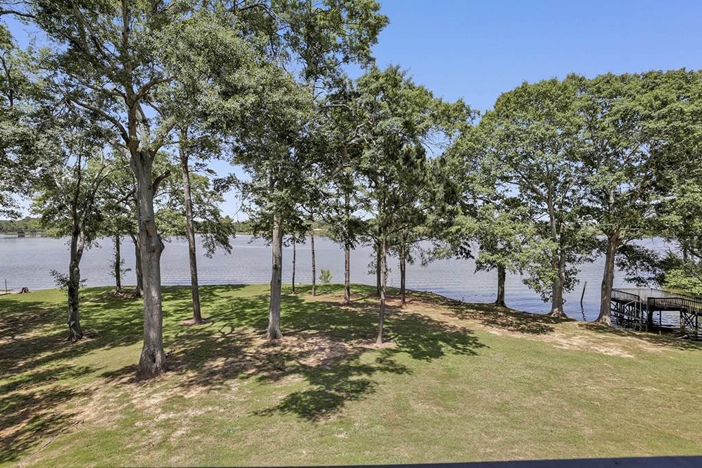 A row of trees in a grassy area with a body of water in the background.